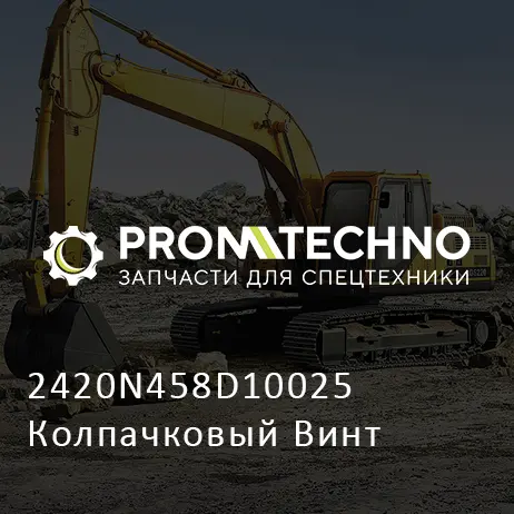 2420N458D10025 Колпачковый Винт