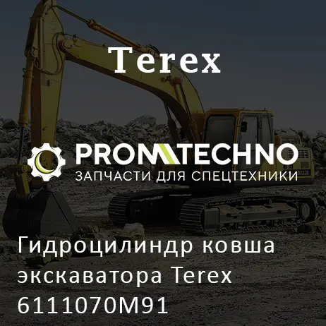 Гидроцилиндр ковша экскаватора Terex 6111070M91