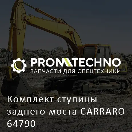 Комплект ступицы заднего моста CARRARO 64790
