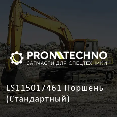 LS115017461 Поршень (Стандартный)