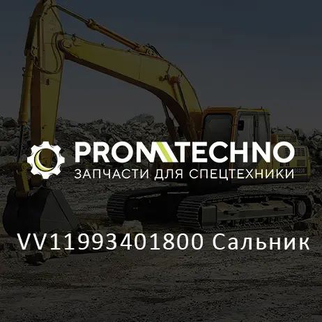 VV11993401800 Сальник