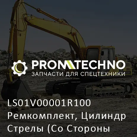 LS01V00001R100 Ремкомплект, Цилиндр Стрелы (Со Стороны Штока)