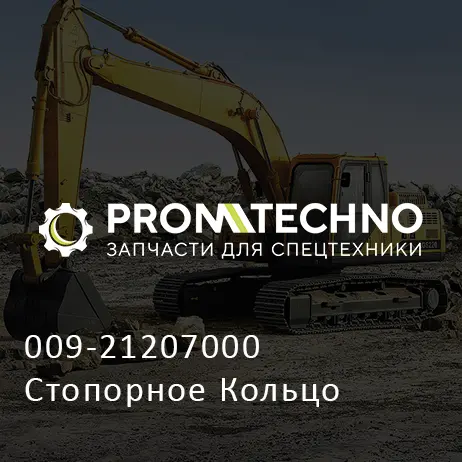 009-21207000 Стопорное Кольцо