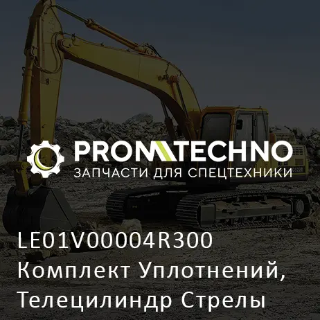 LE01V00004R300 Комплект Уплотнений, Телецилиндр Стрелы