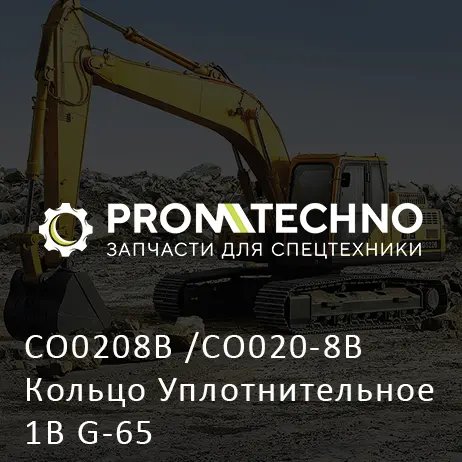 CO0208B /CO020-8B Кольцо Уплотнительное 1B G-65