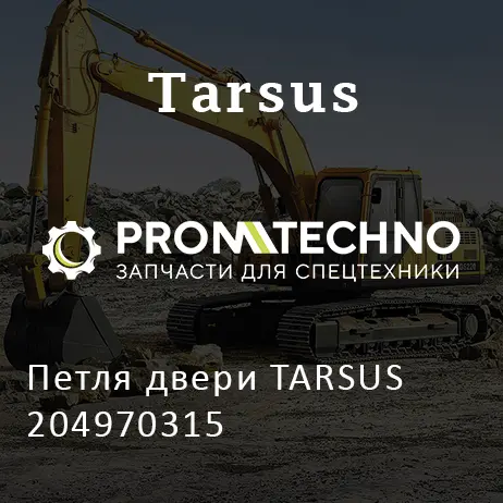 Петля двери TARSUS 204970315