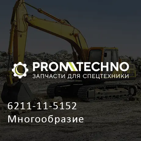 6211-11-5152 Многообразие