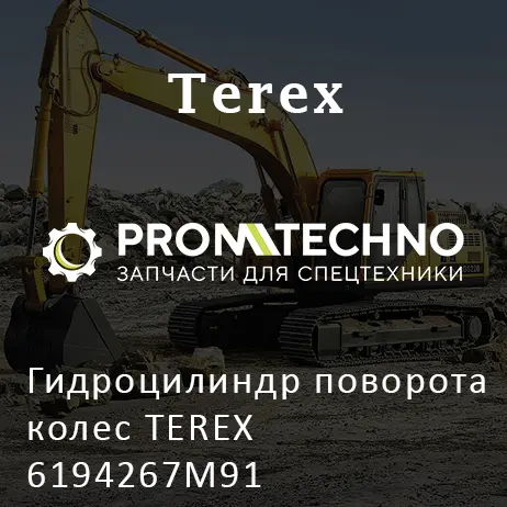 Гидроцилиндр поворота колес TEREX 6194267M91