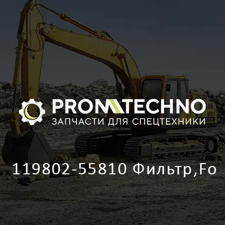 119802-55810 Фильтр,Fo