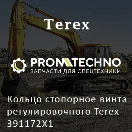 Кольцо стопорное винта регулировочного Terex 391172X1