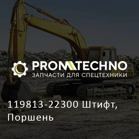 119813-22300 Штифт, Поршень