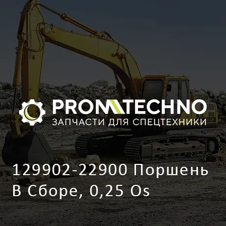 129902-22900 Поршень В Сборе, 0,25 Os