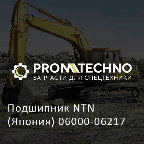 Подшипник NTN (Япония) 06000-06217