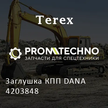 Заглушка КПП DANA 4203848