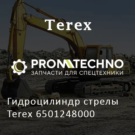 Гидроцилиндр стрелы Terex 6501248000