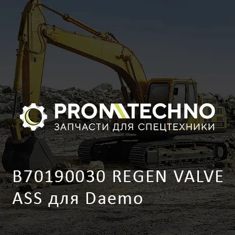 B70190030 REGEN VALVE ASS для Daemo