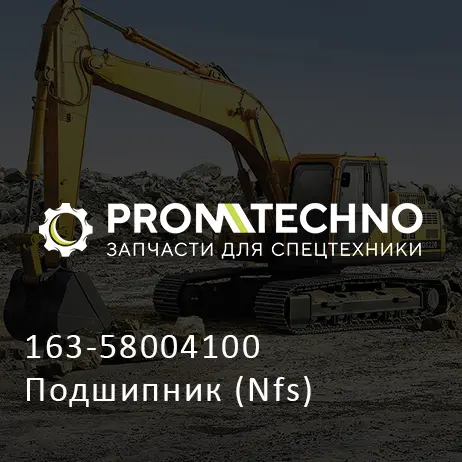 163-58004100 Подшипник (Nfs)