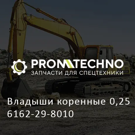 Владыши коренные 0,25 6162-29-8010