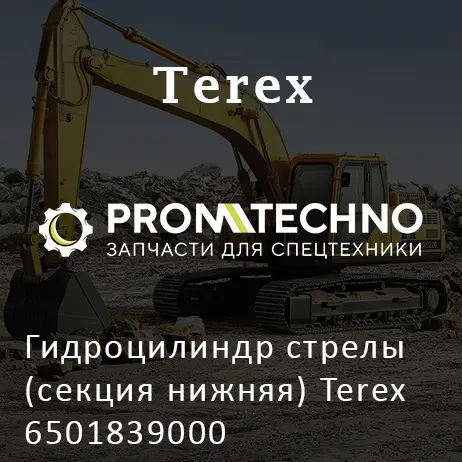 Гидроцилиндр стрелы (секция нижняя) Terex 6501839000