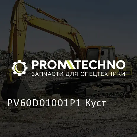 PV60D01001P1 Куст