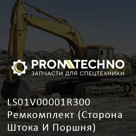 LS01V00001R300 Ремкомплект (Сторона Штока И Поршня)