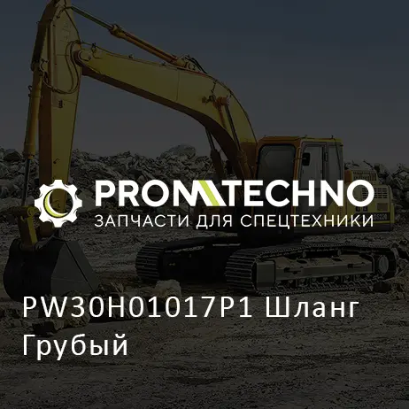PW30H01017P1 Шланг Грубый