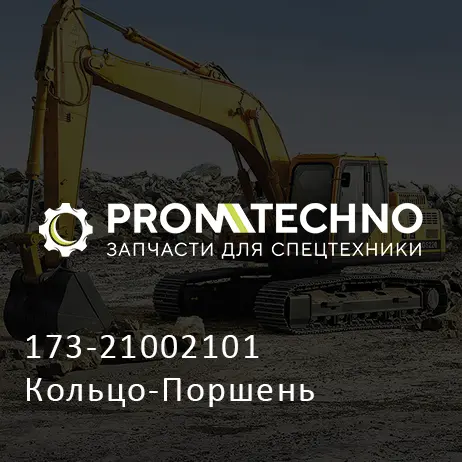 173-21002101 Кольцо-Поршень