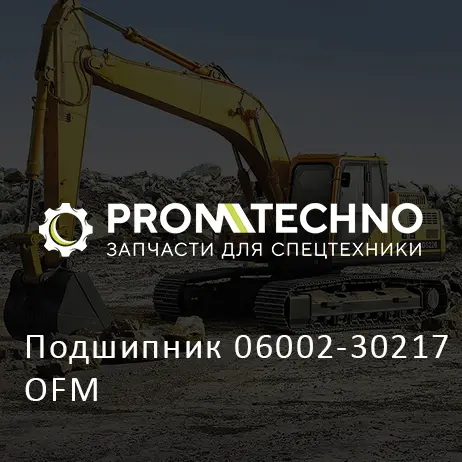 Подшипник 06002-30217 OFM