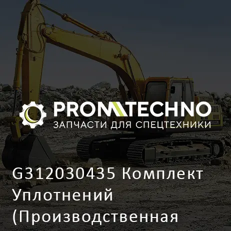 G312030435 Комплект Уплотнений (Производственная Остановка)