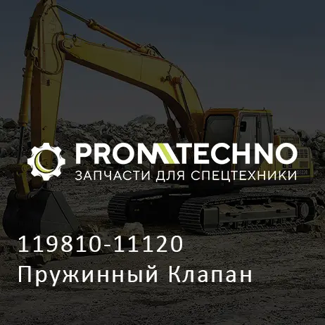 119810-11120 Пружинный Клапан