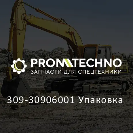 309-30906001 Упаковка