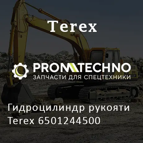 Гидроцилиндр рукояти Terex 6501244500