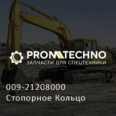 009-21208000 Стопорное Кольцо