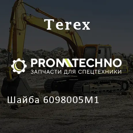 Шайба 6098005M1