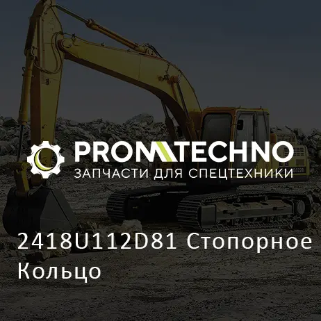 2418U112D81 Стопорное Кольцо