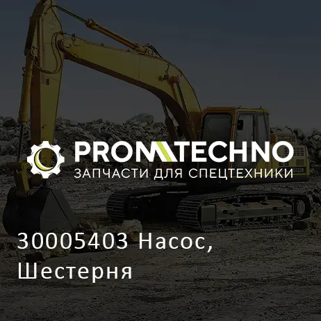 30005403 Насос, Шестерня