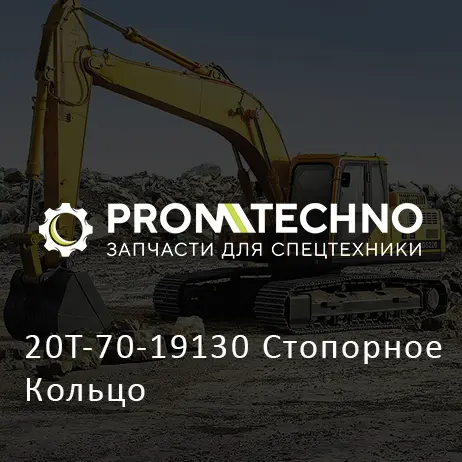 20T-70-19130 Стопорное Кольцо