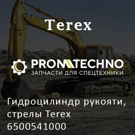 Гидроцилиндр рукояти, стрелы Terex 6500541000