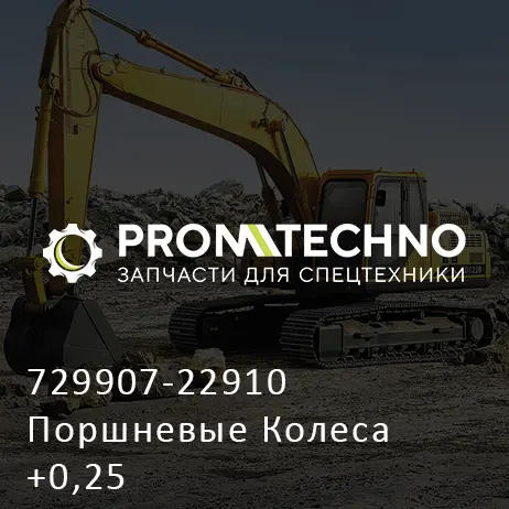 729907-22910 Поршневые Колеса +0,25