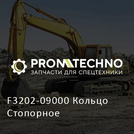 F3202-09000 Кольцо Стопорное