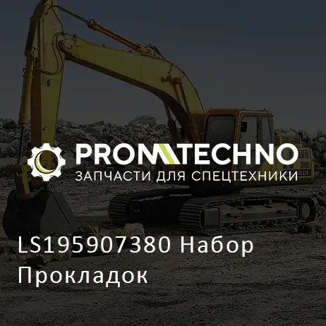 LS195907380 Набор Прокладок