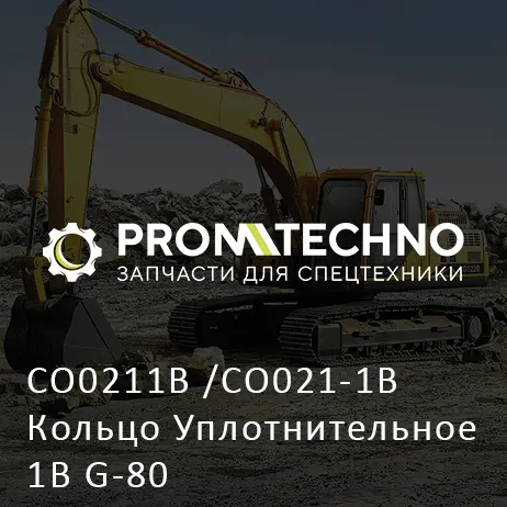 CO0211B /CO021-1B Кольцо Уплотнительное 1B G-80
