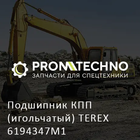 Подшипник КПП (игольчатый) TEREX 6194347M1