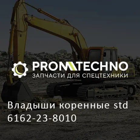 Владыши коренные std 6162-23-8010