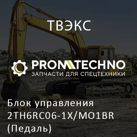 Блок управления 2TH6RC06-1X/MO1BR (Педаль)