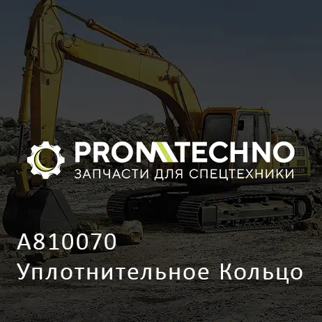 A810070 Уплотнительное Кольцо