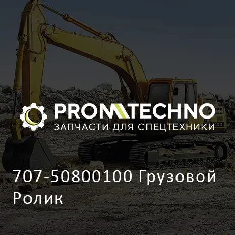 707-50800100 Грузовой Ролик