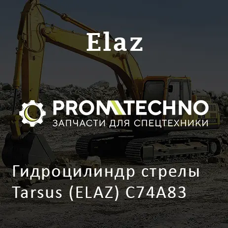 Гидроцилиндр стрелы Tarsus (ELAZ) C74A83