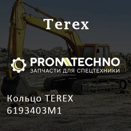 Кольцо TEREX 6193403M1