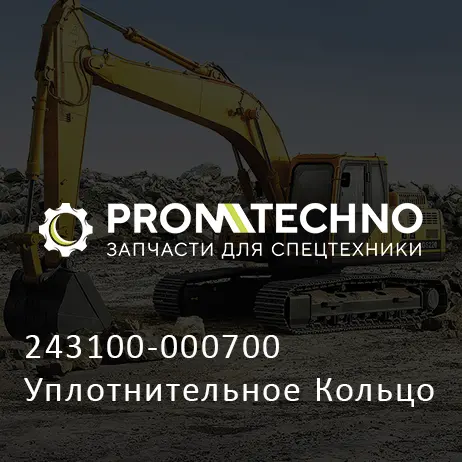 243100-000700 Уплотнительное Кольцо